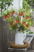 Bouquet of Fritillaria imperialis 'Aurora' (Imperial Crown) and Amelanchier