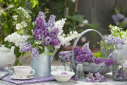 Fragrant bouquet of Syringa (lilac) in zinc pot, tea with lilac blossoms