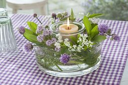 Lantern with flowers of woodruff (Galium odoratum), chives