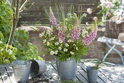 Early summer bouquet with lupinus (lupines), camomile (Matricaria chamomilla)