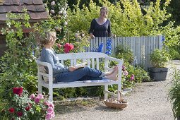 White wooden bench by the bed with pink (roses) and delphinium (delphinium)