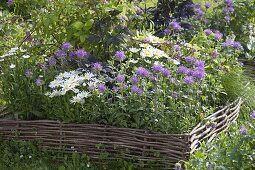 Bed with surround of hazel rods