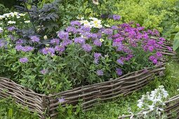 Bed with border of hazel rods