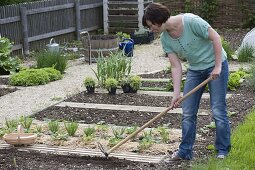 Vegetable sowing with seed tape