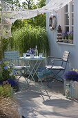 Maritime Terrasse mit Goldleistengras und Lavendel