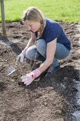 Beet mit Strauch-Hortensien bepflanzen