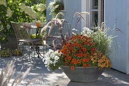 Grey concrete bowl with summer flowers and grasses