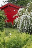 Red garden house behind Prachtspiere