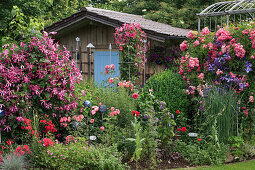 Gartenhaus geschützt hinter Beet mit Clematis und Rosen