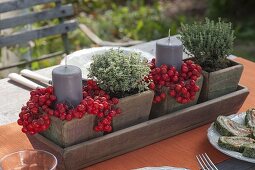 Herbs and rowan berries as table decoration
