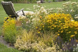 Coreopsis verticillata 'Zagreb' (Mädchenauge), Achillea filipendulina 'Credo