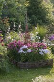 Bed border made from hazel rods: Monarda didyma 'Pink Lace' (Indian Nettle)