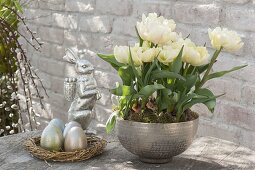 Silberne Schale mit Tulipa 'Montreux' (Gefuellten Tulpen), silberner Osterhase