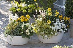 Yellow-white spring bowls