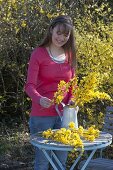 Cutting forsythia branches and stick bouquet