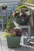 Green tubs planted with spring bloomers