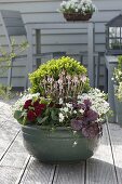 Green tubs planted with spring bloomers