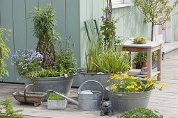 Old zinc sinks as mini ponds on the terrace