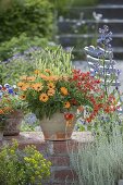 Red-orange planted ceramic pot