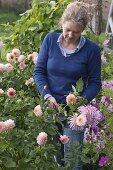 Bouquet of the last dahlias and jewelry baskets