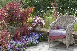 Herbstliches Terrassenbeet in blau und rot