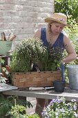 Woman planting spank basket with herbs