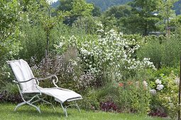 Scented flower bed with cottage jasmine