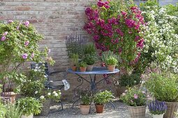 Kiesterrasse mit Topf-Arrangement auf blauem Tisch