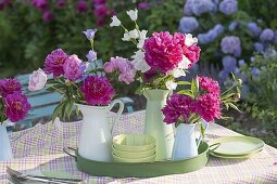 Garden party in early summer under walnut tree