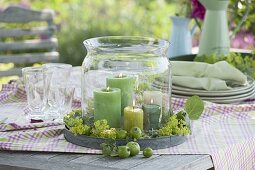 Garden party in early summer under walnut tree