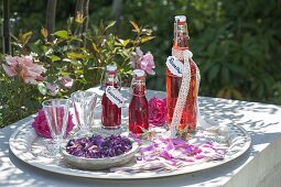 Flaschen mit Rosenlikoer und Rosensirup , Blüten von Rosa (Rosen)