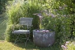 Gartenecke mit Wasserspiel