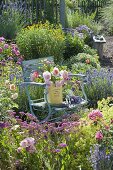 Chair with fresh cut roses in tin box and lavender