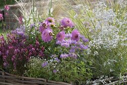 Pink and white planted flowerbed with hazel grove border