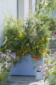 High plastic box with edible flowers for privacy