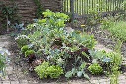 Create a hillside bed in a vegetable garden