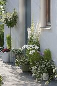 White planted tubs at the house entrance