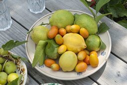 Freshly picked citrus fruits on pottery