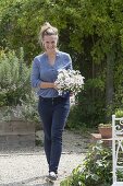 Frau bringt weiße Blumen in blauen Emaille - Toepfen