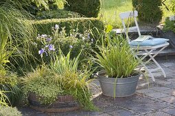 Wooden barrel and zinc tub as mini-ponds on the terrace