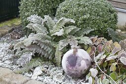 Winterliches Beet mit Rauhreif