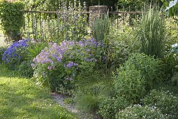 Create perennial flowerbed with cranesbill and grasses