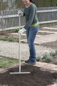 Prepare the vegetable bed and plant the casing of parsley