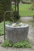 Granite trough with Nymphaea tetragona 'Alba' (dwarf sea-rose)