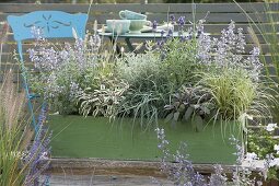 Green wooden box with lavender 'Oxford Gem', sage 'Tricolor'