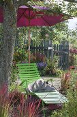 Green Liege with parasol under apple tree