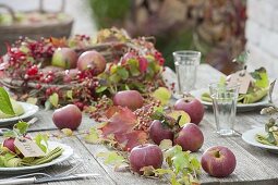 Tischdeko mit Äpfeln, Hagebutten und wildem Wein