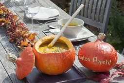 Pumpkin soup in Hokkaido pumpkin (Cucurbita pepo)