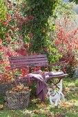 Red bench in autumnal garden, basket with autumn leaves