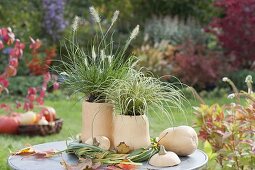 Use butternut squash as a vase and plant pot